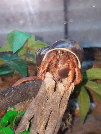 Pet Supply Store «Petco Animal Supplies», reviews and photos, 1320 E Lincoln Way p101, Sparks, NV 89434, USA