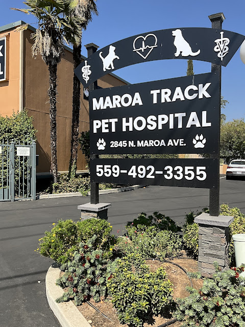 Maroa Track Pet Hospital