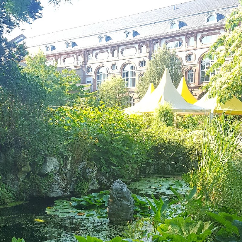 Botanischer Garten der Universität Basel