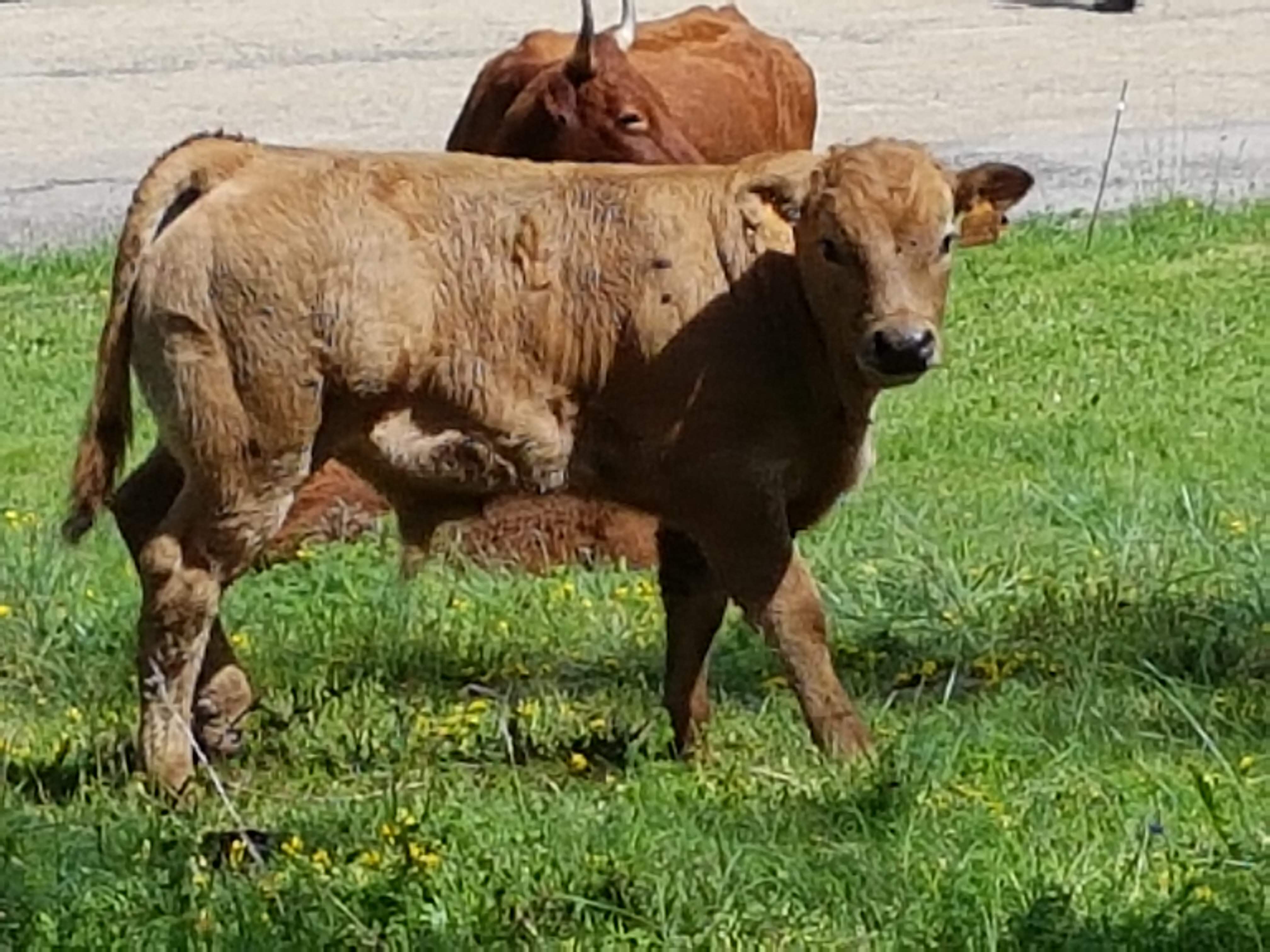 Photo n° 16 de l'avis de Valou.O fait le 11/08/2018 à 16:07