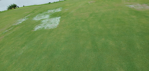 Golf Club «Moccasin Wallow Golf Club. The MOC Bar and Grill», reviews and photos, 9680 Buffalo Rd, Palmetto, FL 34221, USA