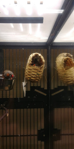 Pet Supply Store «PetSmart», reviews and photos, 1935 N Campus Ave, Upland, CA 91784, USA