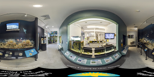 Aquarium «Smithsonian Marine Ecosystems Exhibit», reviews and photos, 420 Seaway Dr, Fort Pierce, FL 34949, USA