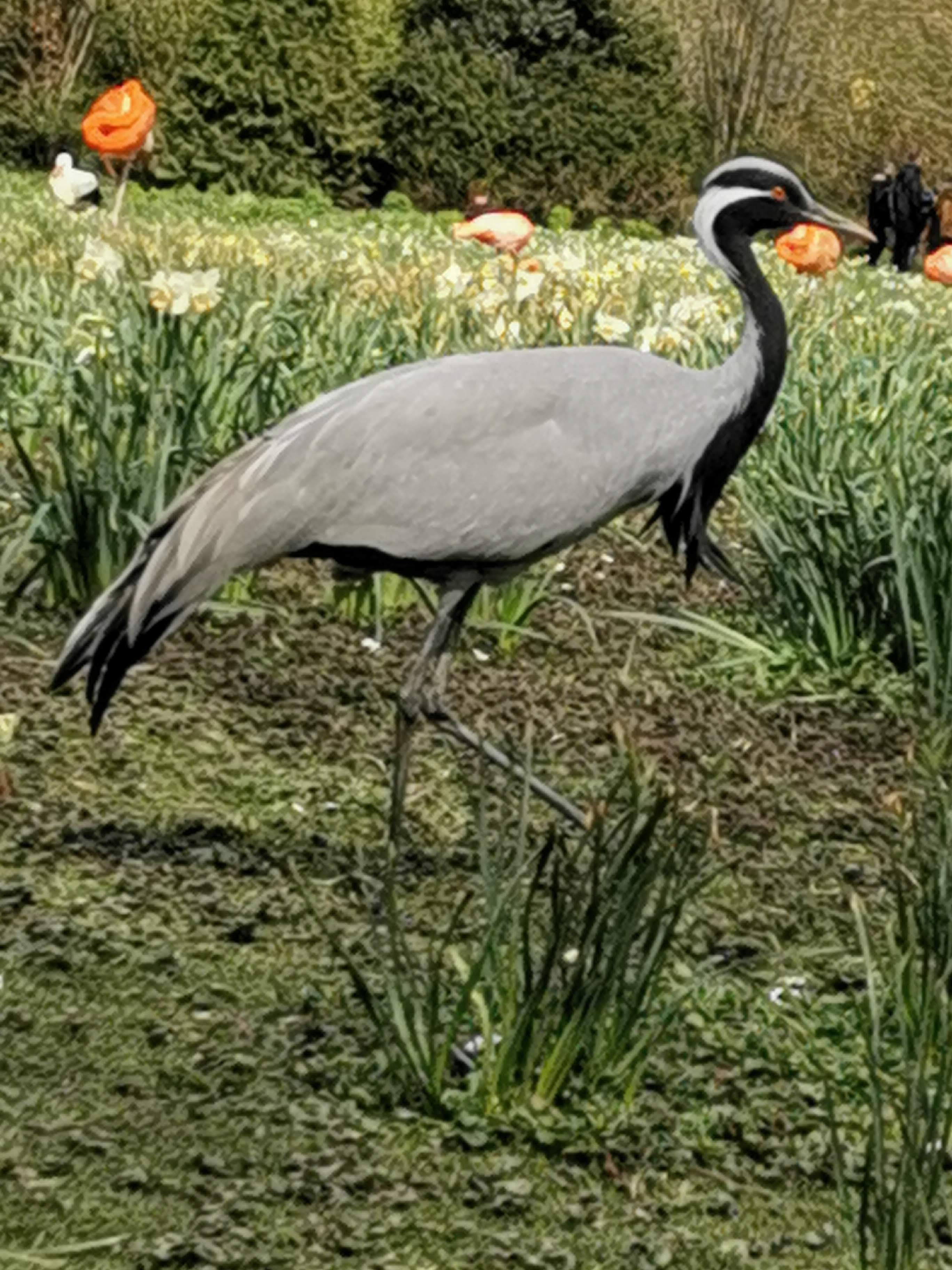 Photo n° 3 de l'avis de Dany.d fait le 10/04/2022 à 17:32