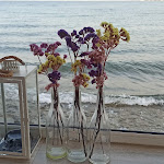 Photo n°3 de l'avis de Rossella.a fait le 22/07/2023 à 13:38 sur le  ZOKI à Torre San Gennaro