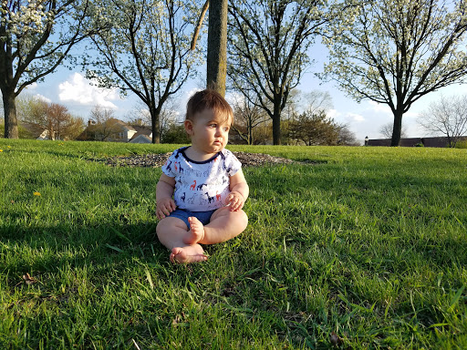 Park «Fountain Square Park», reviews and photos, 1751 Gibson Dr, Elk Grove Village, IL 60007, USA