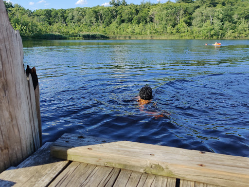 Hiking Area «Stony Brook Reservation», reviews and photos, Turtle Pond Pkwy, Hyde Park, MA 02136, USA