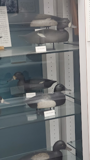 Museum «Thousand Islands Museum», reviews and photos, 312 James St, Clayton, NY 13624, USA