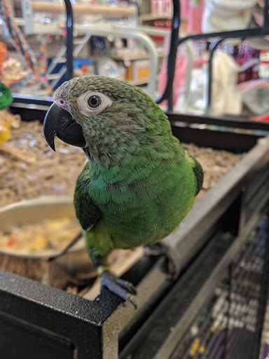 Pet Supply Store «Pet Supplies Plus», reviews and photos, 411 Commack Rd, Deer Park, NY 11729, USA