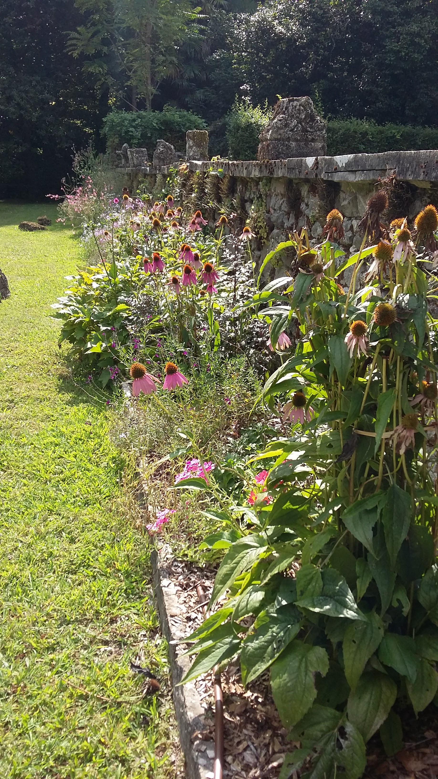 Photo n° 4 de l'avis de Famille.a fait le 28/08/2019 à 17:09