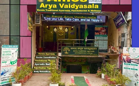 Amos Arya Vaidyasala image