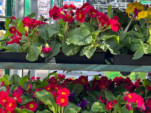 Home Improvement Store «The Home Depot», reviews and photos, 2750 Crow Canyon Rd, San Ramon, CA 94583, USA