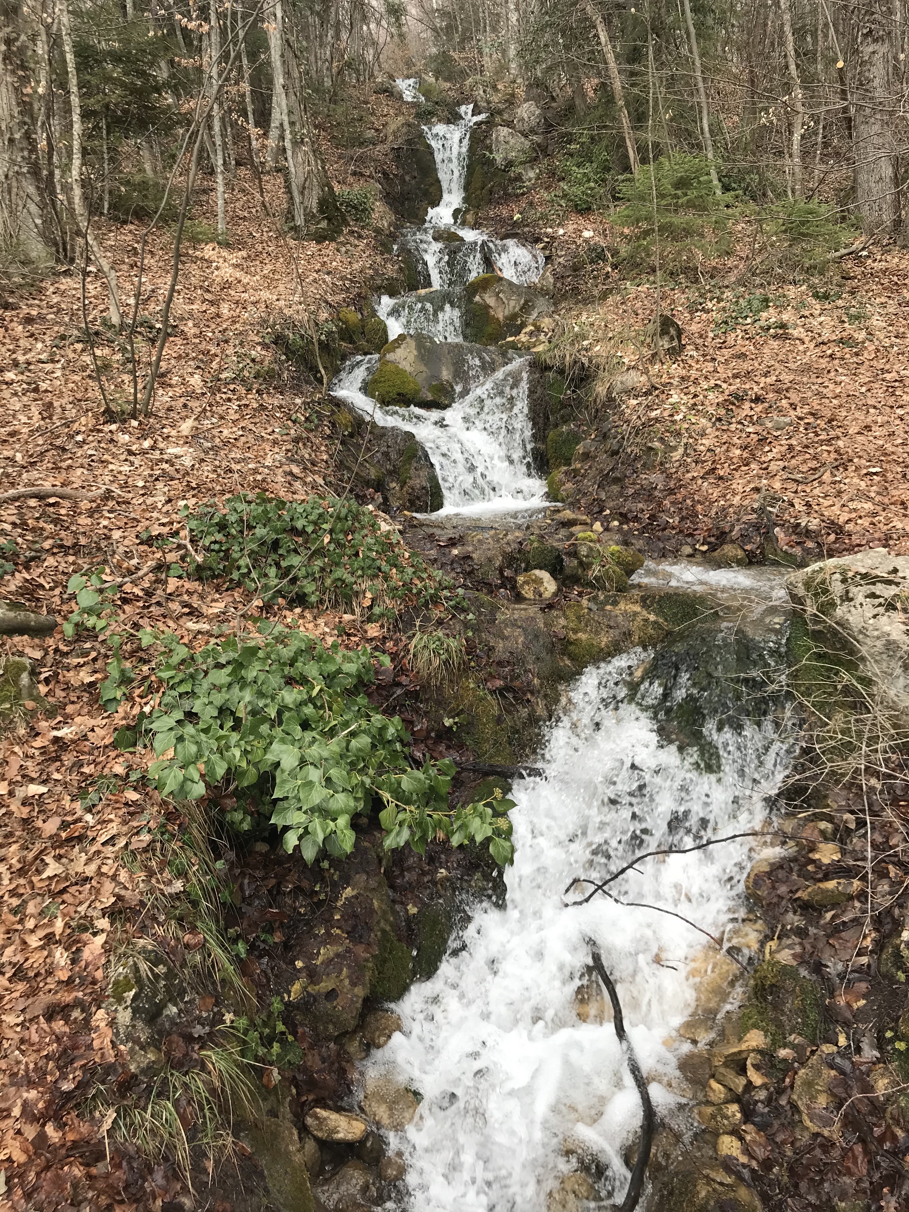 Photo n° 6 de l'avis de Bastien.a fait le 05/03/2021 à 06:20