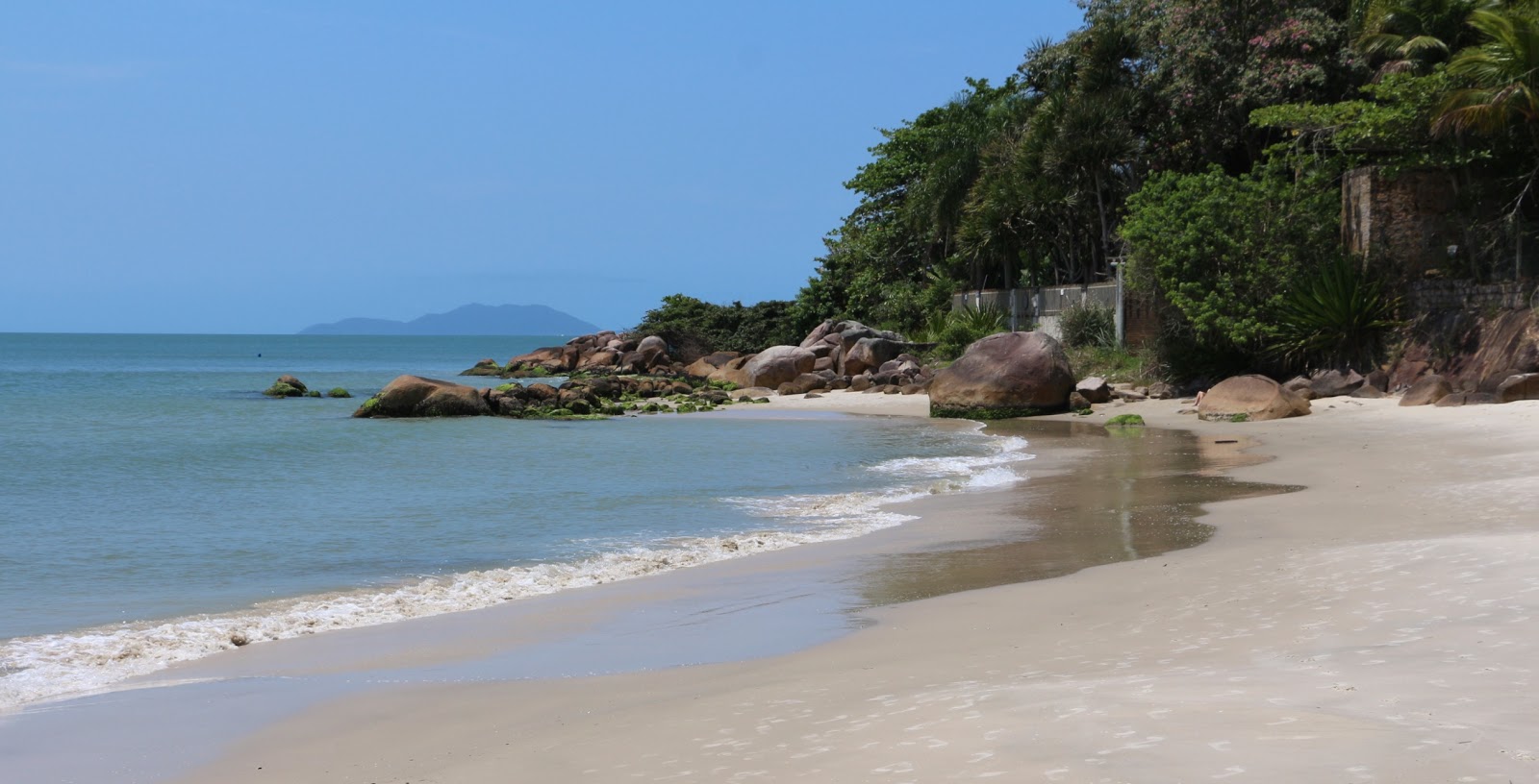 Praia do Canajure II'in fotoğrafı vahşi alan