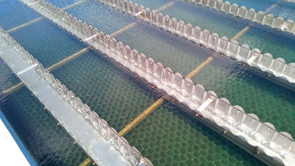Nhà máy sản xuất nước sạch Láng Thé