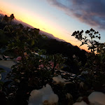 Photo n°2 de l'avis de Katarzyna.a fait le 21/06/2020 à 20:44 sur le  Azienda agricola agrituristica Il Murale à Baone