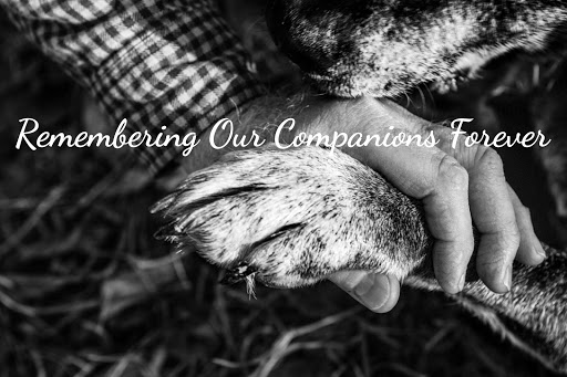 Heart's Companion | Pet Memorial Center