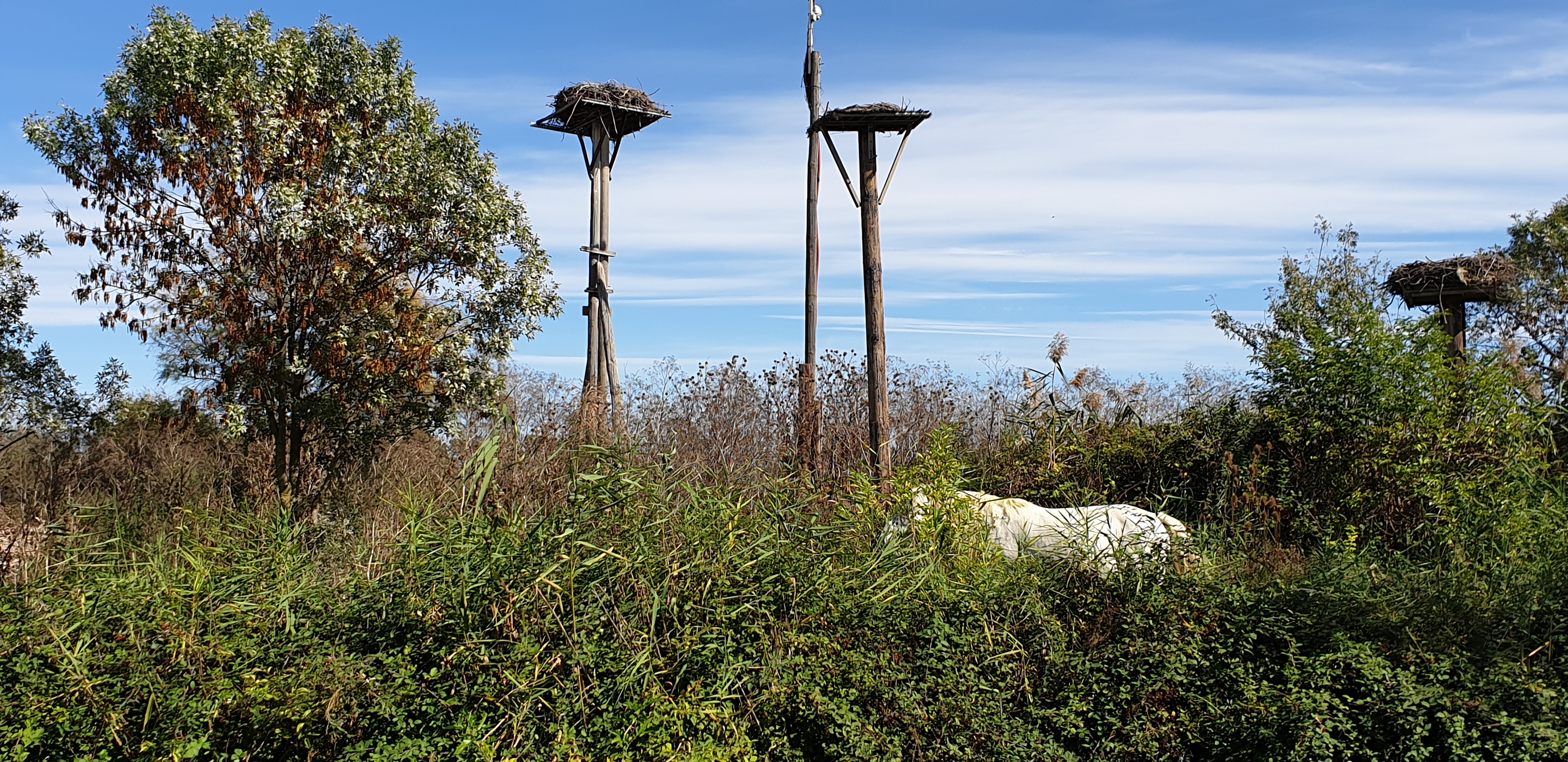 Photo n° 14 de l'avis de Benoît.e fait le 04/10/2019 à 13:52