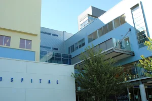 Nelson Hospital image