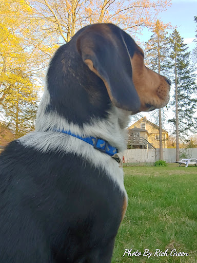 Explore small music tattoo ideas, creative tattoo ideas in East Brookfield, available at Port of Worcester Tattoo, E. Brookfield