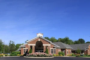 Animal Clinic Northview image