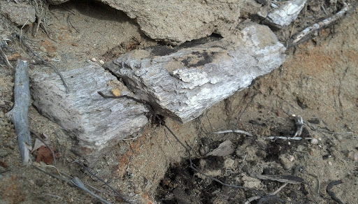 Nature Preserve «Corral Bluffs», reviews and photos, S Powers Blvd, Peyton, CO 80831, USA