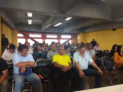 Sindicato Democrático Independiente de Trabajadores del Sistema de Transporte Colectivo 'Metro'