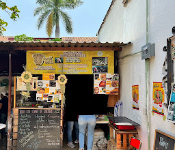 Orgánic Market The Harvest photo