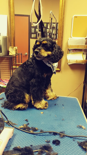 Pet Store «Pet Valu», reviews and photos, 2645 Shillington Rd, Sinking Spring, PA 19608, USA