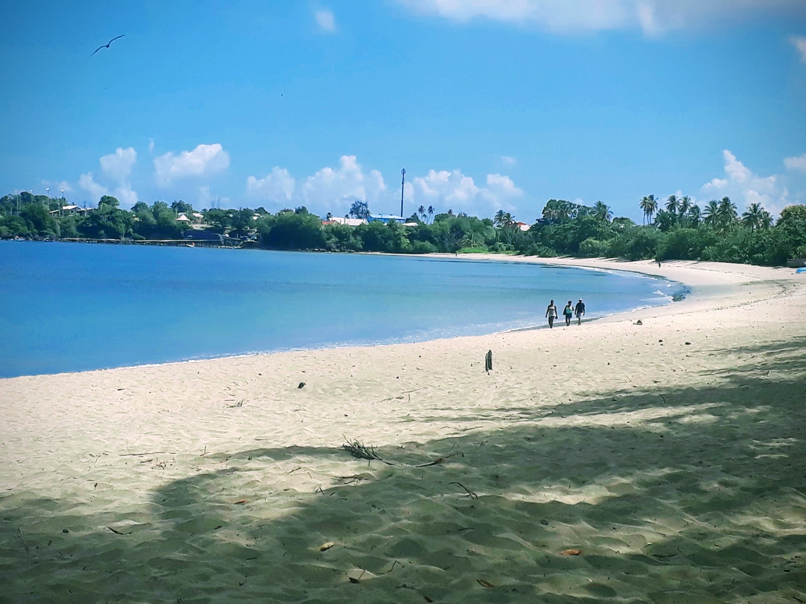 Foto di Great Courland Bay beach e l'insediamento