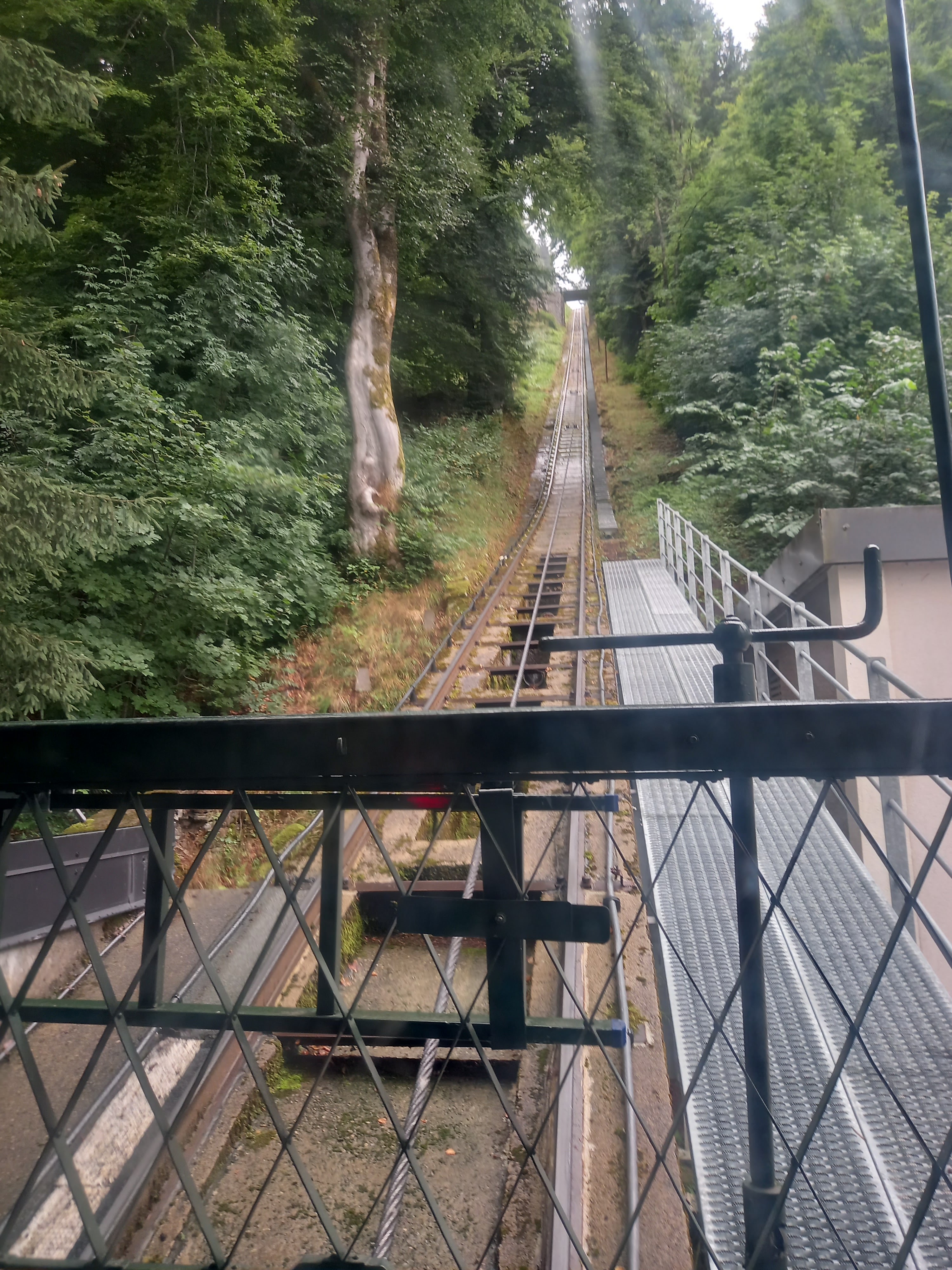Photo n° 3 de l'avis de Efdé.l fait le 19/08/2022 à 15:42