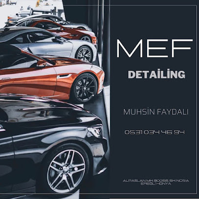 MEF Detailing