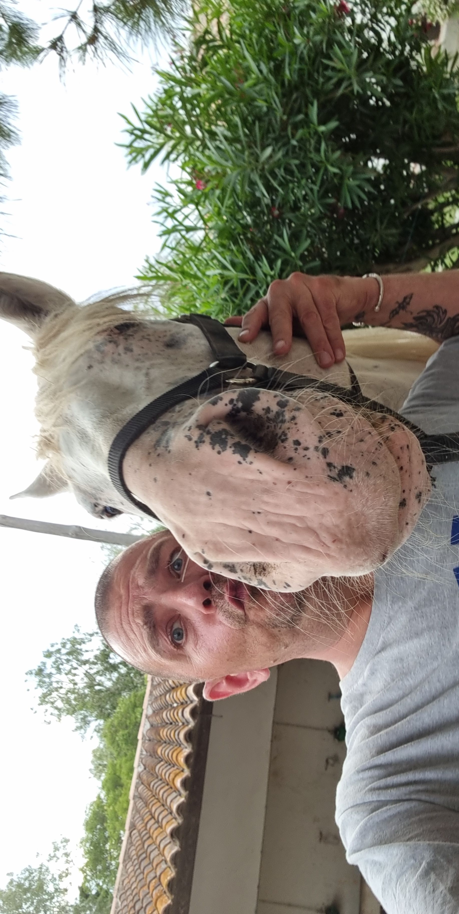 Photo n° 1 de l'avis de Cyril.a fait le 10/07/2021 à 20:27