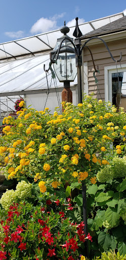 Florist «Colonial Gardens Full Service Florist & Garden Center», reviews and photos, 442 Fitchburg Turnpike, Concord, MA 01742, USA