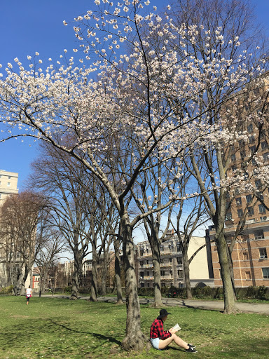 Memorial Park «General Grant National Memorial», reviews and photos, W 122nd St & Riverside Dr, New York, NY 10027, USA