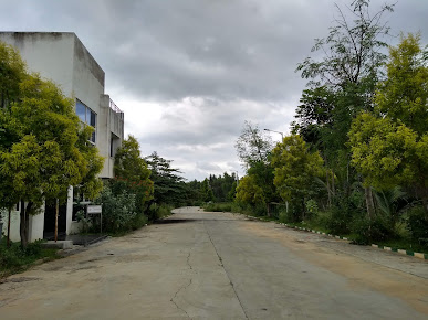 Google Maps image 15