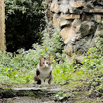 Photo n°2 de l'avis de Serena.. fait le 14/05/2023 à 15:27 sur le  L'Oste e la Strega à Molini di Triora