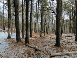 Warren H Manning State Park - photo 4