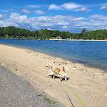 Photo n°5 de l'avis de Elka.p fait le 29/05/2022 à 18:15 sur le  Gastronomie Seeblick à Osterholz-Scharmbeck