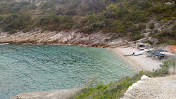 Zecja beach'in fotoğrafı vahşi alan