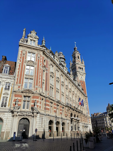 Sociétés de commercialisation dans Lille