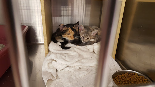 Pet Supply Store «PetSmart», reviews and photos, 10600 Melody Dr, Northglenn, CO 80234, USA