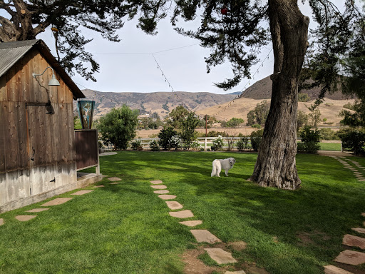 Wedding Venue «Flying Caballos Ranch», reviews and photos, 1150 Farmhouse Ln, San Luis Obispo, CA 93401, USA