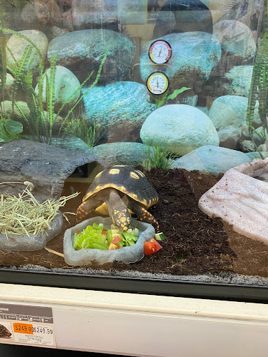 Pet Supply Store «Petco Animal Supplies», reviews and photos, 1412 S Main Chapel Way, Gambrills, MD 21054, USA