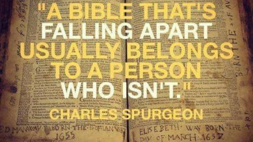 Used Book Store «Born Again Used Books», reviews and photos, 1529 N Union Blvd, Colorado Springs, CO 80909, USA