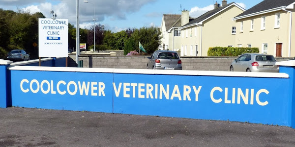 Coolcower Veterinary Clinic