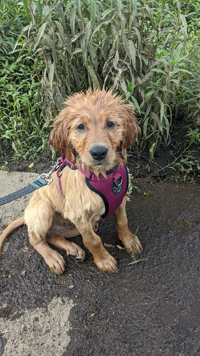 Pet Store «Pets of Portage», reviews and photos, 2219 W Wisconsin St, Portage, WI 53901, USA