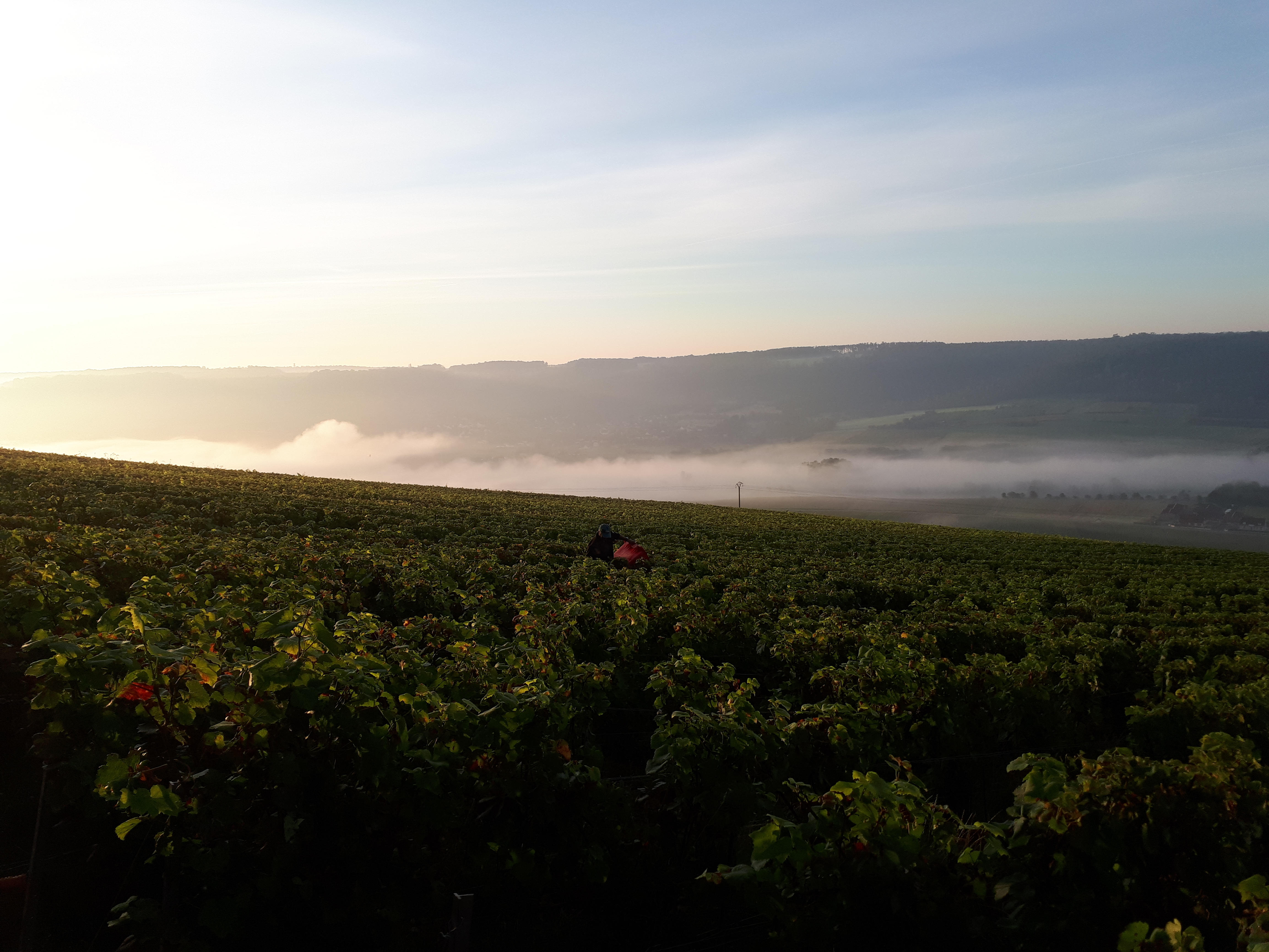 Photo n° 2 de l'avis de Cam96. fait le 12/10/2021 à 13:25