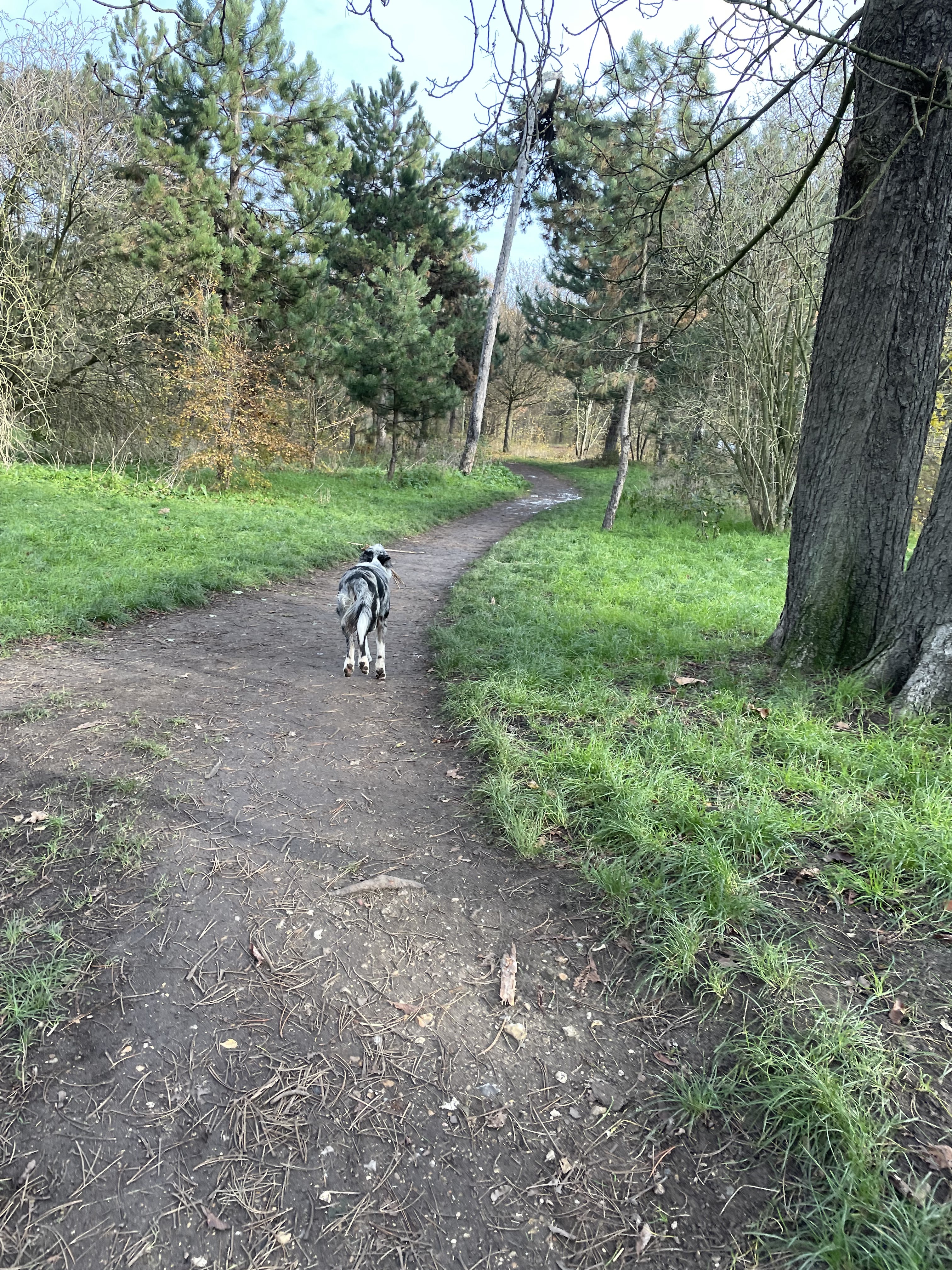 Photo n° 4 de l'avis de Hervé.r fait le 05/03/2023 à 22:04