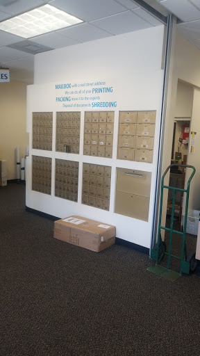 Print Shop «The UPS Store», reviews and photos, 13799 Park Blvd N, Seminole, FL 33776, USA